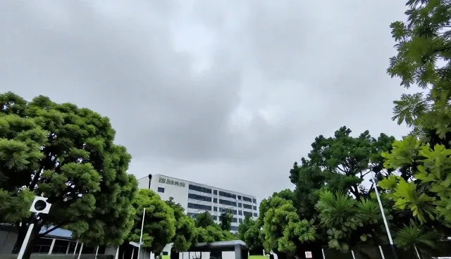 财务报表流程优化中策划环节的关键作用与应对策略